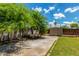 Large backyard with a spacious concrete patio, mature tree, and storage shed on lush lawn at 161 S Maple St, Chandler, AZ 85226