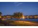 Picturesque lake view with manicured lawns and a glowing street light at 18135 W Hope Dr, Goodyear, AZ 85338