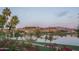 Tranquil lake view framed by mature palm trees, lush greenery, and colorful flowers for year-round enjoyment at 18135 W Hope Dr, Goodyear, AZ 85338