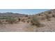 Picturesque community walking trail winding through the desert landscape at 18135 W Hope Dr, Goodyear, AZ 85338