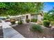 Home exterior showcasing professionally landscaped front yard with mature trees and lush desert vegetation at 19242 W Pasadena Ave, Litchfield Park, AZ 85340