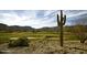 Scenic view of the golf course with native vegetation, blue sky, and distant mountains at 20412 W Thayer St, Buckeye, AZ 85396
