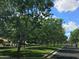 Quiet, tree-lined residential street with green lawns and well-maintained homes at 20412 W Thayer St, Buckeye, AZ 85396