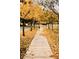 Concrete sidewalk lined with golden trees, inviting a tranquil autumn walk at 20412 W Thayer St, Buckeye, AZ 85396