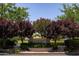 Landscaped Laguna Village sign with lush greenery and trees at 2309 W Naranja Ave, Mesa, AZ 85202