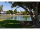 Tree-lined pond featuring a water fountain in a well-manicured community with sidewalks and desert landscaping at 2309 W Naranja Ave, Mesa, AZ 85202