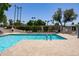 A large community pool with lounge chairs and mature trees in a tropical setting under a clear blue sky at 2309 W Naranja Ave, Mesa, AZ 85202