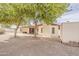 Wide view of the backyard with mature trees at 2605 E Fountain St, Mesa, AZ 85213