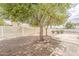 View of a tree shading the backyard landscaping at 2605 E Fountain St, Mesa, AZ 85213