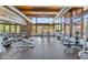 Bright gym featuring modern equipment, large windows with scenic views, and fitness amenities for residents at 812 E Summerside Rd, Phoenix, AZ 85042
