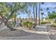 Community common area with winding sidewalk, desert landscaping, and palm trees at 8787 E Mountain View Rd # 2100, Scottsdale, AZ 85258