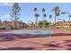 Community tennis court surrounded by lush landscaping and palm trees at 8787 E Mountain View Rd # 2100, Scottsdale, AZ 85258