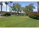 Expansive green space featuring palm trees and landscaping around apartment complex at 1111 E Turney Ave # 3, Phoenix, AZ 85014