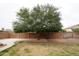 The expansive backyard has beautiful green grass and a large shade tree at 14376 W Desert Hills Dr, Surprise, AZ 85379
