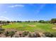 Scenic golf course view showcasing lush greenery and open spaces at 18226 W Stinson Dr, Surprise, AZ 85374