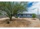 Spacious backyard featuring a large tree and a block fence, offering privacy and shade at 2019 W Stella Ln, Phoenix, AZ 85015