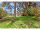 Spacious backyard showcasing a lush lawn, trees, and a glimpse of the patio at 2508 N Karen Dr, Chandler, AZ 85224