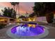 Gorgeous pool with vibrant lighting surrounded by lush landscaping at twilight at 26 W Morten Ave, Phoenix, AZ 85021