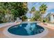 Beautiful swimming pool surrounded by lush landscaping and palm trees at 26 W Morten Ave, Phoenix, AZ 85021
