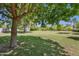 Expansive backyard featuring lush lawn and mature tree providing shade, perfect for outdoor activities at 316 E Bethany Home Rd, Phoenix, AZ 85012
