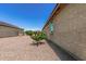 View of house exterior with rock landscaping and greenery surrounding the house at 41825 W Mesquite Rd, Maricopa, AZ 85138