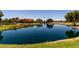 A peaceful pond surrounded by lush greenery, enhancing the community's serene ambiance at 41825 W Mesquite Rd, Maricopa, AZ 85138