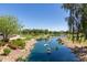 Picturesque waterfront view of a lake with rock features and mature trees in the background at 41825 W Mesquite Rd, Maricopa, AZ 85138