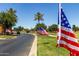 A neighborhood street decorated with American flags, palm trees, and green lawns at 41825 W Mesquite Rd, Maricopa, AZ 85138