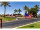 American flags lining a community street with manicured lawns and palm trees at 41825 W Mesquite Rd, Maricopa, AZ 85138