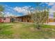 Wide view of large backyard, with patio area and lush vegetation and tree at 6837 W Camelback Rd, Phoenix, AZ 85033