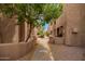 Beautiful community courtyard with landscaped walkways and flowering trees at 8155 E Roosevelt St # 205, Scottsdale, AZ 85257