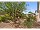 Landscaped backyard featuring mature trees, desert landscaping, and a dining set at 31716 N Poncho Ln, San Tan Valley, AZ 85143
