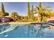 Backyard pool featuring a clean pool and landscaping with a palm tree that is reflecting on the water at 3212 E Desert Cove Ave, Phoenix, AZ 85028
