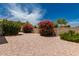 Landscaped backyard with stone and greenery features creating a tranquil and private outdoor space at 710 W Cherrywood Dr, Chandler, AZ 85248