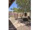 Enclosed backyard featuring desert landscaping, patio, and mature shade tree at 7724 W Topeka W Dr, Glendale, AZ 85308