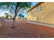 Spacious backyard featuring mature trees and a gravel-covered landscape, offering a serene outdoor setting at 8450 S Stephanie Ln, Tempe, AZ 85284