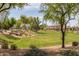 Expansive green space with mature shade trees and desert landscaping in a well-maintained community at 1008 W Heatherwood St, San Tan Valley, AZ 85140