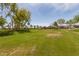 Community green space with trees, playground, desert landscaping and residential houses at 1008 W Heatherwood St, San Tan Valley, AZ 85140