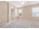 Spacious primary bedroom with carpet, ceiling fan, and natural light at 1008 W Heatherwood St, San Tan Valley, AZ 85140