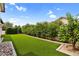 Backyard features green turf, hedge landscaping and stone detail at 21104 E Poco Calle --, Queen Creek, AZ 85142