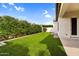 Lush backyard features beautiful green grass, mature landscaping, and a covered patio, perfect for outdoor living at 21104 E Poco Calle --, Queen Creek, AZ 85142