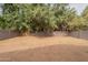 Expansive backyard featuring a secure block fence and desert landscaping at 2210 N 27Th Pl, Phoenix, AZ 85008