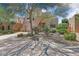 View of desert home with mature landscaping including cacti and desert trees at 27892 N 108Th Way, Scottsdale, AZ 85262