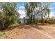 Large backyard with a covered patio, mature trees, and plenty of room for outdoor activities at 2944 W Northern Ave, Phoenix, AZ 85051
