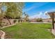 Lush backyard with mature trees and landscaping, complemented by a sparkling pool and privacy wall at 3619 E Marmora St, Phoenix, AZ 85032