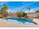 A captivating pool, complemented by palm trees and a meticulously landscaped yard at 3619 E Marmora St, Phoenix, AZ 85032