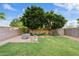 Grassy backyard with mature shade trees, a brick patio, a block wall, and several flower pots at 41138 N Soap Berry St, Queen Creek, AZ 85140