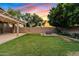 Backyard featuring lush green lawn, mature trees, and concrete patio at 41138 N Soap Berry St, Queen Creek, AZ 85140