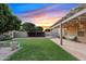 Backyard with well-maintained lawn, storage area, and covered patio with string lights at 41138 N Soap Berry St, Queen Creek, AZ 85140