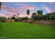 Lush green backyard featuring a block fence and mature trees, perfect for outdoor activities and relaxation at 6725 E Kings Ave, Scottsdale, AZ 85254